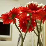 A Chiaia